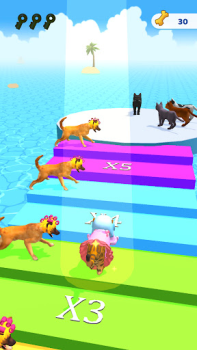 تحميل Cats run 3D المحاكاة لنظام أندرويد لقطة شاشة 7