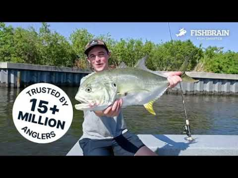 تحميل Fishbrain - Fishing App رياضة لنظام أندرويد لقطة شاشة 8