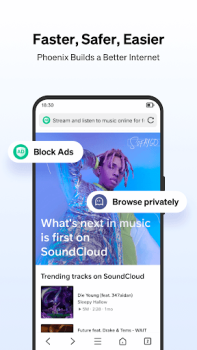 تحميل Phoenix Browser - آمن وسريع الاتصالات لنظام أندرويد لقطة شاشة 4