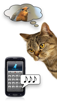 تحميل Human-to-Cat - Play with your وسائل الترفيه لنظام أندرويد لقطة شاشة 3