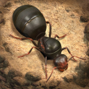 تحميل  The Ants: Underground Kingdom