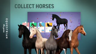 تحميل Equestrian the Game المحاكاة لنظام أندرويد لقطة شاشة 7