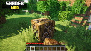 تحميل Realistic Shader Mod Minecraft وسائل الترفيه لنظام أندرويد لقطة شاشة 2