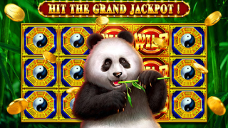 تحميل Mega Winner Slots Vegas Casino كازينو لنظام أندرويد لقطة شاشة 2