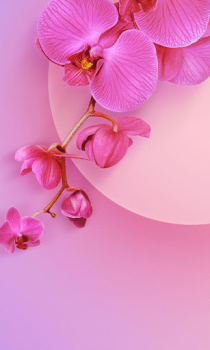 تحميل Theme for Xiaomi Mi A3 إضفاء الطابع الشخصي لنظام أندرويد لقطة شاشة 6