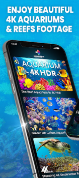 تحميل Aquariums TV صورة فوتوغرافية لنظام أندرويد لقطة شاشة 2
