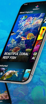 تحميل Aquariums TV صورة فوتوغرافية لنظام أندرويد لقطة شاشة 3