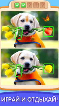 تحميل Can You Spot It: Differences الألغاز لنظام أندرويد لقطة شاشة 3