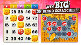 تحميل Bingo Pop: Play Live Online ألعاب الطاولة لنظام أندرويد لقطة شاشة 5