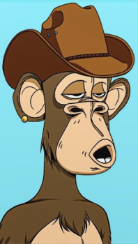 تحميل Monkey NFT إضفاء الطابع الشخصي لنظام أندرويد لقطة شاشة 6