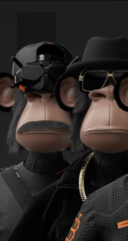 تحميل Monkey NFT إضفاء الطابع الشخصي لنظام أندرويد لقطة شاشة 7