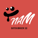 تحميل  Nam
