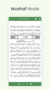 تحميل القرآن (تفسير وبالكلمات) الكتب والمراجع لنظام أندرويد لقطة شاشة 3