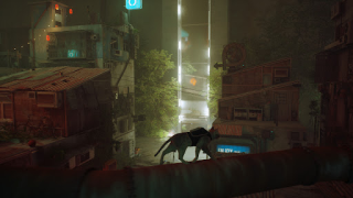 تحميل Stray Cat Simulator Mobile المحاكاة لنظام أندرويد لقطة شاشة 2