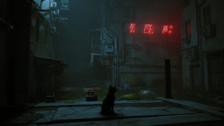 تحميل Stray Cat Simulator Mobile المحاكاة لنظام أندرويد لقطة شاشة 6