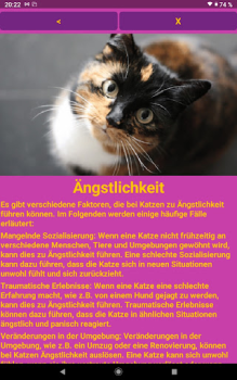 تحميل Katzen Clicker Training Light السكن والمنزل لنظام أندرويد لقطة شاشة 7