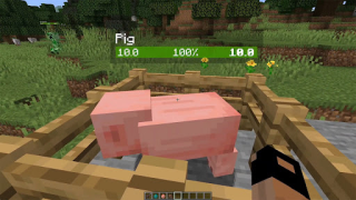 تحميل Neat Mod Minecraft وسائل الترفيه لنظام أندرويد لقطة شاشة 6
