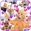 تحميل  WAStickerApps Stickers Cats