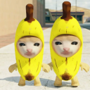 تحميل  Banana Cat