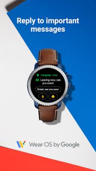 تحميل Wear OS by Google الاتصالات لنظام أندرويد لقطة شاشة 7