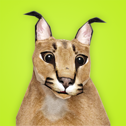 app logo