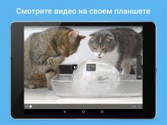 تحميل Мой Мир - Кино. Игры الاجتماعية لنظام أندرويد لقطة شاشة 6