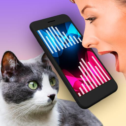 app logo