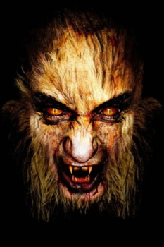 تحميل Scary Video Maker وسائل الترفيه لنظام أندرويد لقطة شاشة 2
