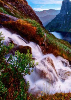 تحميل Waterfall Live Wallpaper إضفاء الطابع الشخصي لنظام أندرويد لقطة شاشة 3