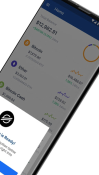 تحميل Blockchain.com: Crypto Wallet المالية لنظام أندرويد لقطة شاشة 4