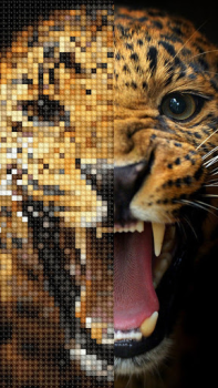 تحميل Cross Stitch: Color by Number الألغاز لنظام أندرويد لقطة شاشة 7