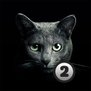تحميل  Find a cat 2