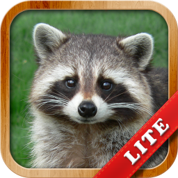 الشعار Animals for Kids