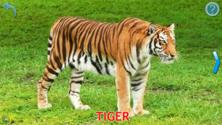 تحميل Animals for Kids ألعاب التعلم لنظام أندرويد لقطة شاشة 2