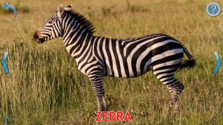 تحميل Animals for Kids ألعاب التعلم لنظام أندرويد لقطة شاشة 3