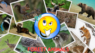 تحميل Animals for Kids ألعاب التعلم لنظام أندرويد لقطة شاشة 5