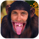 تحميل  Fun Photo Camera