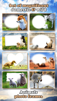 تحميل All Animals Photo Frames 🐅 Wildlife 🐈 Cute Pets صورة فوتوغرافية لنظام أندرويد لقطة شاشة 6