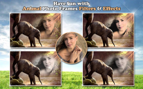 تحميل All Animals Photo Frames 🐅 Wildlife 🐈 Cute Pets صورة فوتوغرافية لنظام أندرويد لقطة شاشة 7