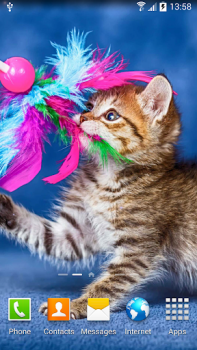 تحميل Cat Live Wallpaper إضفاء الطابع الشخصي لنظام أندرويد لقطة شاشة 4