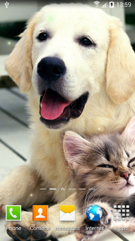 تحميل Cat Live Wallpaper إضفاء الطابع الشخصي لنظام أندرويد لقطة شاشة 7