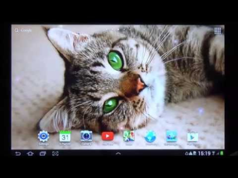 تحميل Cat Live Wallpaper إضفاء الطابع الشخصي لنظام أندرويد لقطة شاشة 8