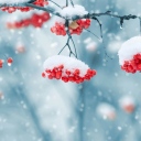 تحميل  Beautiful Winter Live Wallpape