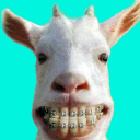 تحميل  Funny Animal Videos: Cats Dogs