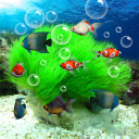 تحميل  Aquarium