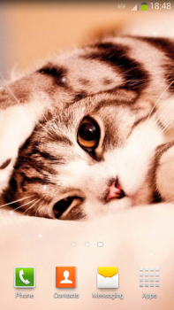 تحميل Cute Cats Live Wallpaper إضفاء الطابع الشخصي لنظام أندرويد لقطة شاشة 3