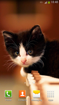 تحميل Cute Cats Live Wallpaper إضفاء الطابع الشخصي لنظام أندرويد لقطة شاشة 4