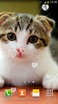 تحميل Cute Cats Live Wallpaper إضفاء الطابع الشخصي لنظام أندرويد لقطة شاشة 5