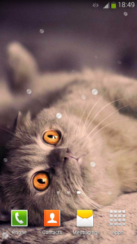 تحميل Cute Cats Live Wallpaper إضفاء الطابع الشخصي لنظام أندرويد لقطة شاشة 6