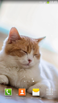 تحميل Cute Cats Live Wallpaper إضفاء الطابع الشخصي لنظام أندرويد لقطة شاشة 7